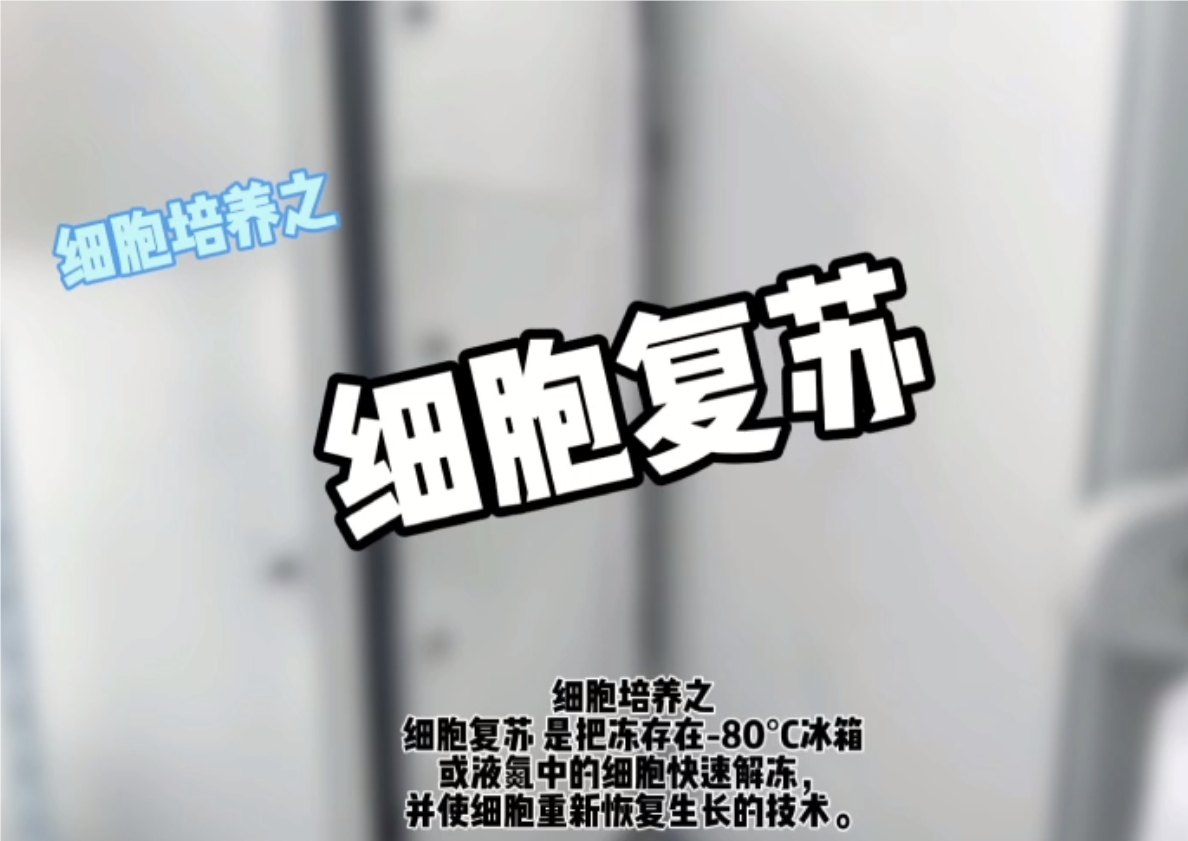 細胞復(fù)蘇